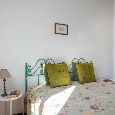 Clara 11 *